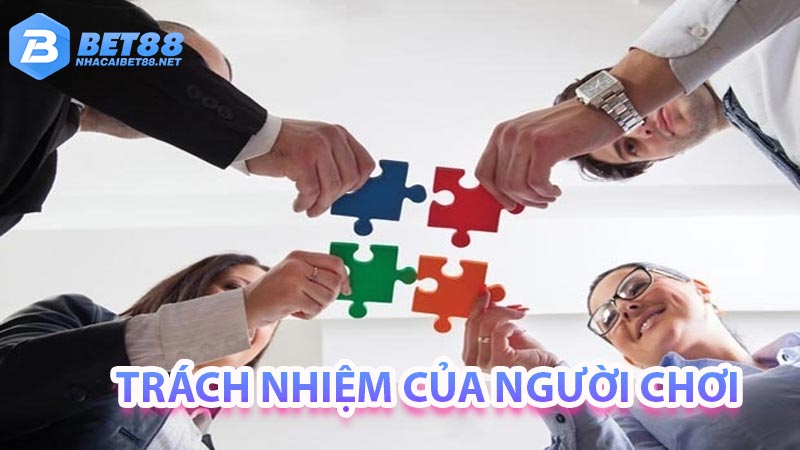 Trách nhiệm tham gia cá cược từ bản thân người chơi